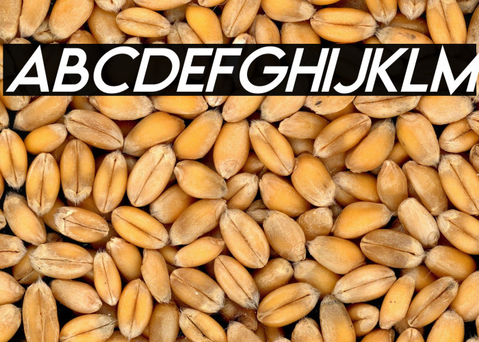 Moonrising Italic Example 3