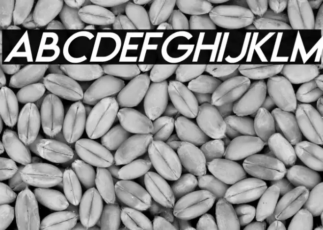 Moonrising Italic Font examples