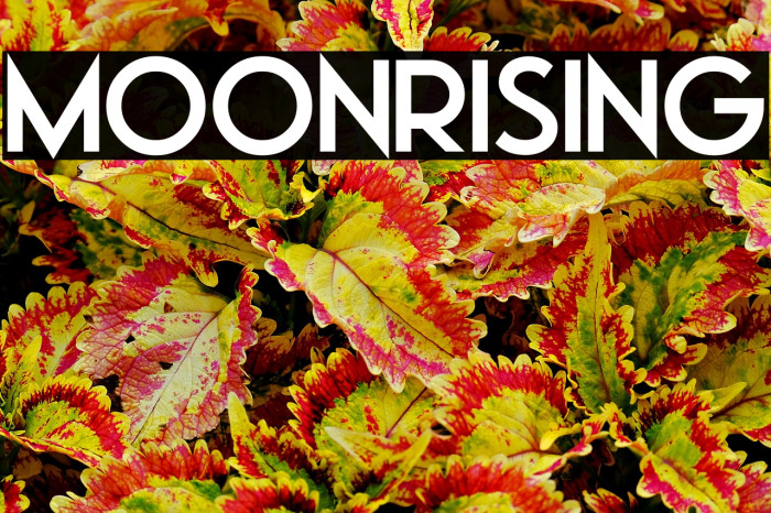 Moonrising Example 2