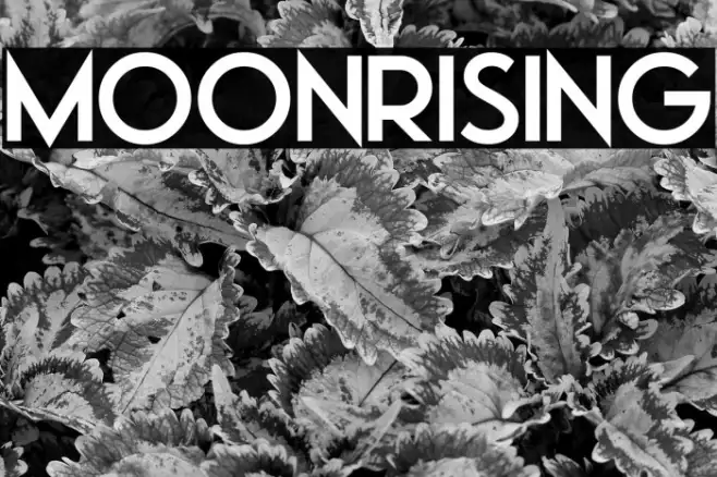 Moonrising Example 2