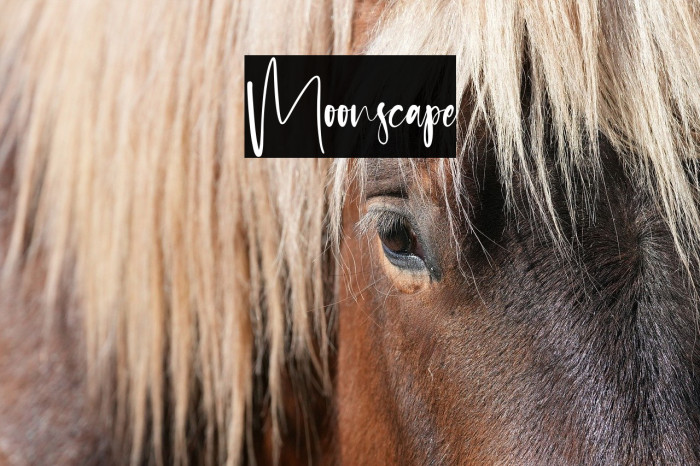 Moonscape Font examples