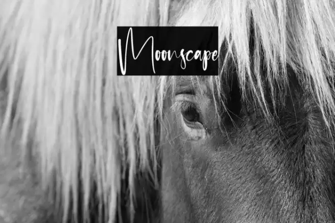 Moonscape फ़ॉन्ट examples