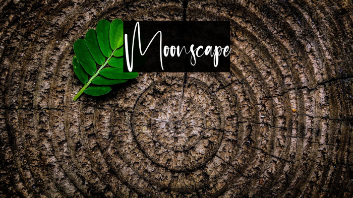 Moonscape Font examples