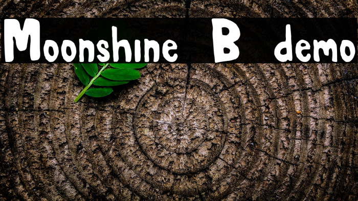Moonshine B demo Example 1