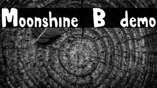 Moonshine B demo Font examples