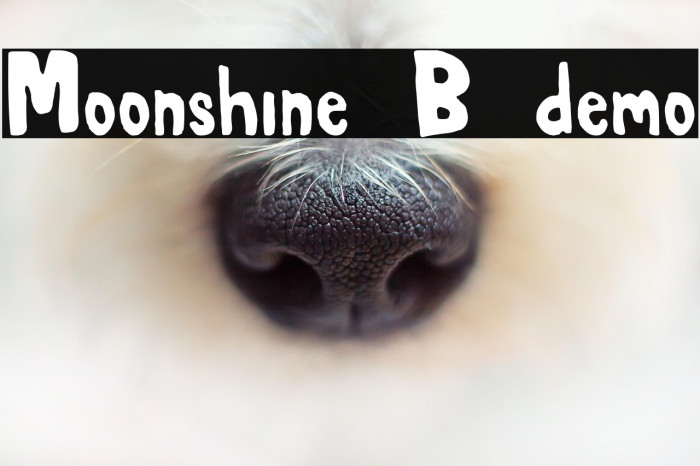 Moonshine B demo Example 2