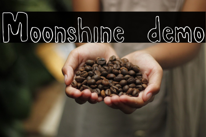 Moonshine demo Example 1