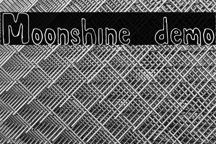 Moonshine demo Example 3