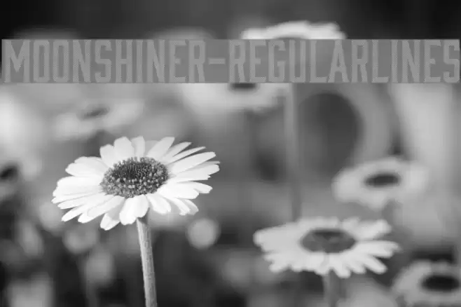 Moonshiner-RegularLines फ़ॉन्ट examples