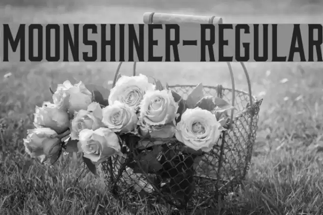 Moonshiner-Regular Font examples