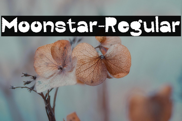 Moonstar-Regular Example 1