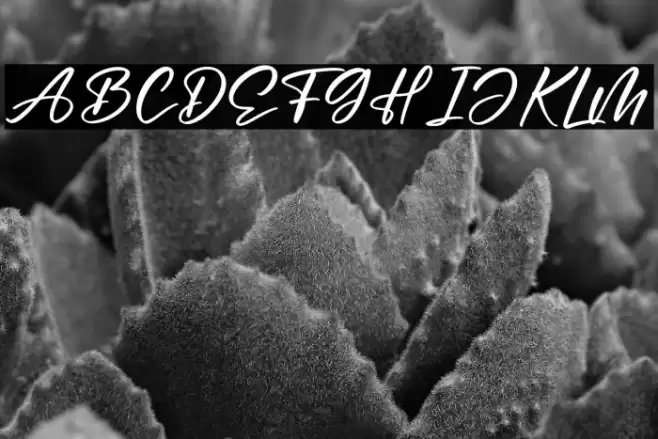 Moonstar Font examples