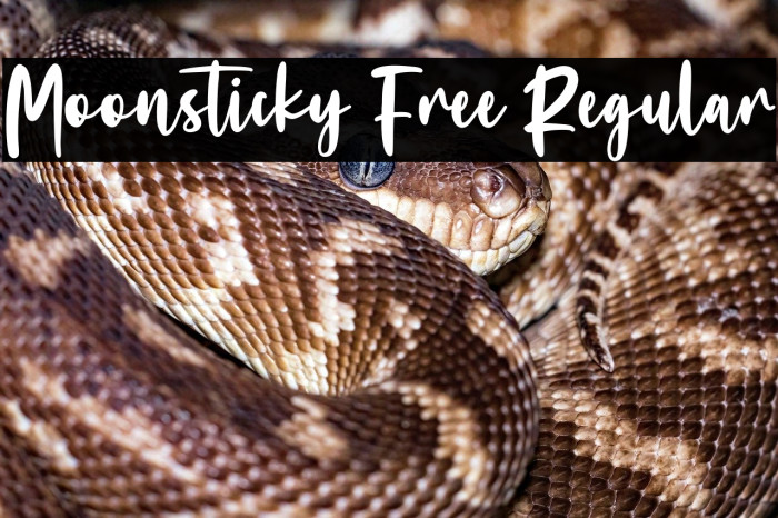 Moonsticky Free Regular Example 3