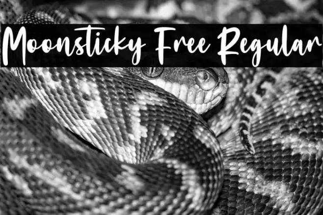 Moonsticky Free Regular Example 3