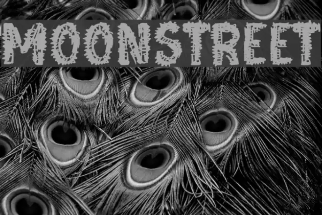 Moonstreet Font examples