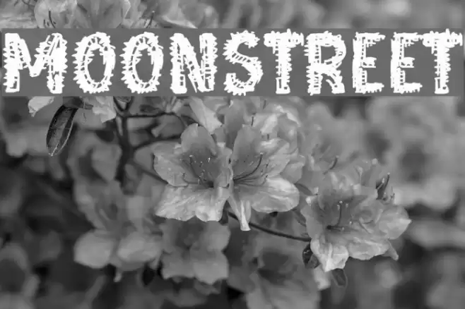 Moonstreet Font examples