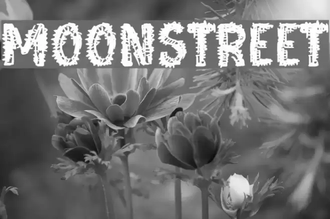 Moonstreet Font examples