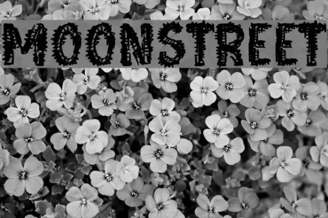 Moonstreet Font examples