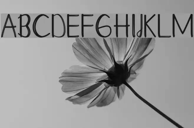 Moontea Family Font examples