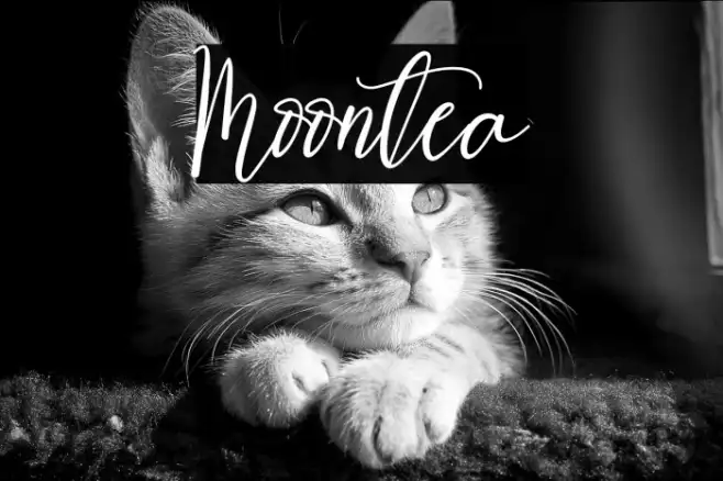 Moontea Example 1