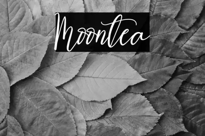 Moontea Example 3