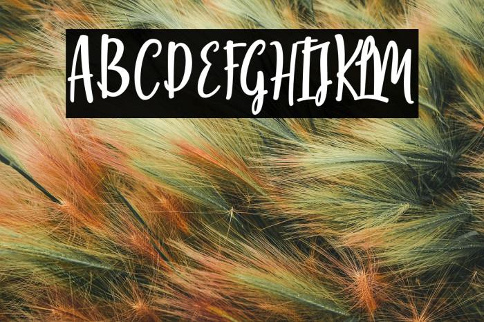 MoontelloDemo Example 2