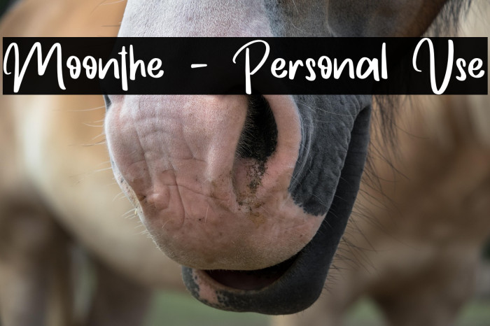 Moonthe - Personal Use Example 1