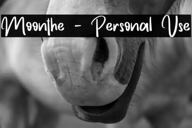 Moonthe - Personal Use Example 1