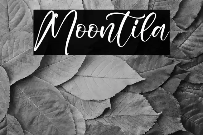 Moontila Example 3