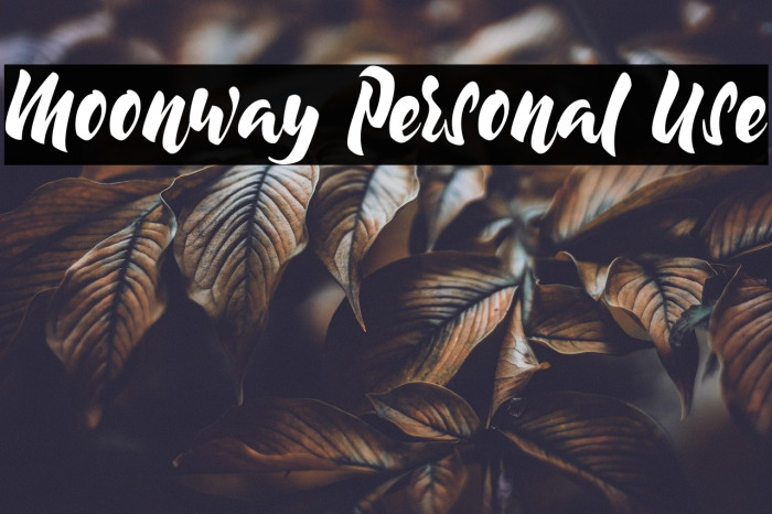 Moonway Personal Use Example 2