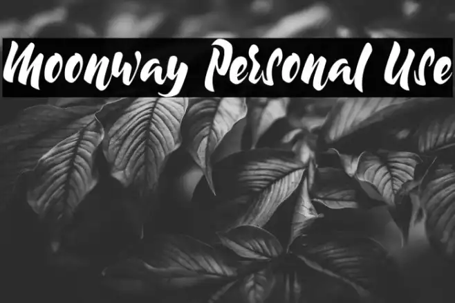 Moonway Personal Use Example 2
