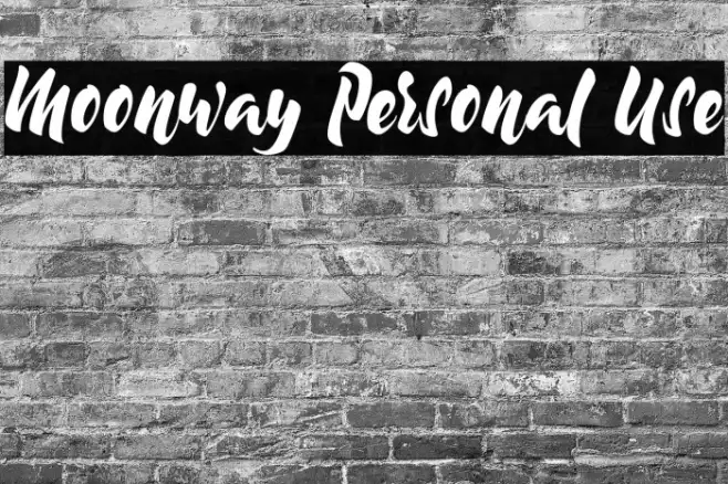 Moonway Personal Use Example 3