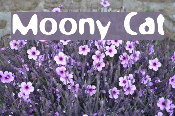Moony Cat Font examples