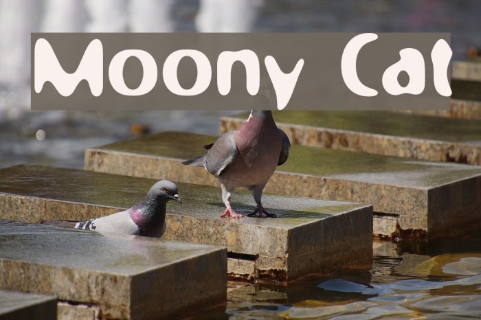 Moony Cat Font examples