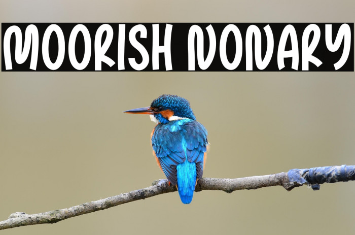 Moorish Nonary Example 1