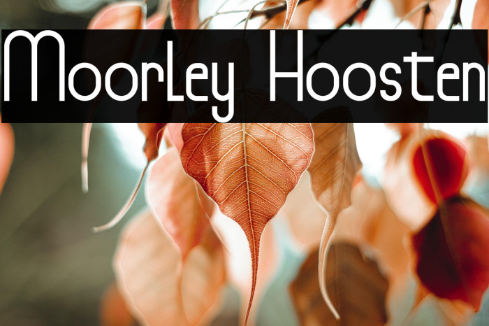 Moorley Hoosten Example 1