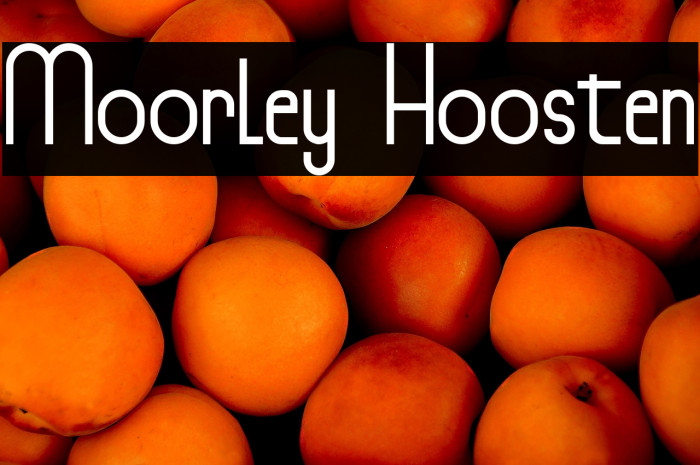 Moorley Hoosten Example 2