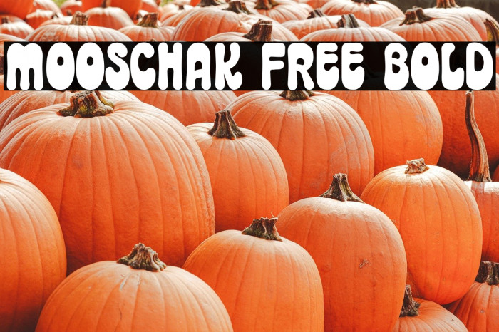 Mooschak Free Bold Example 3