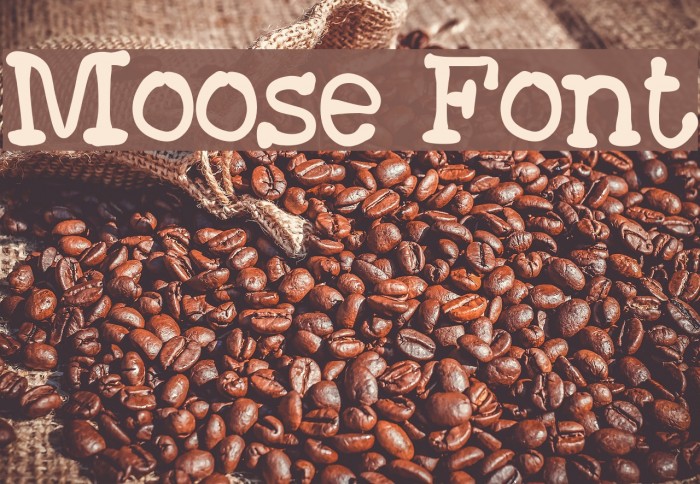 Moose Font examples