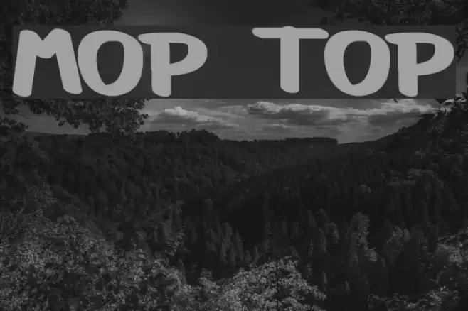 Mop Top Font examples