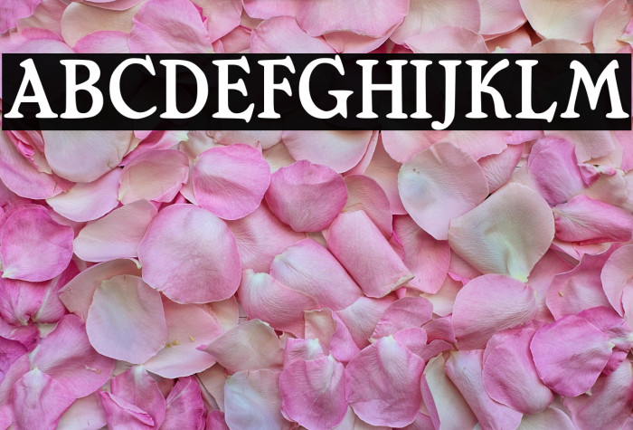 Mops Antiqua Example 1