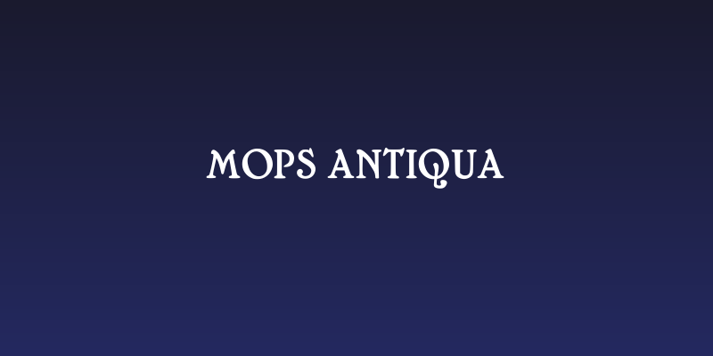 Mops Antiqua Social Header