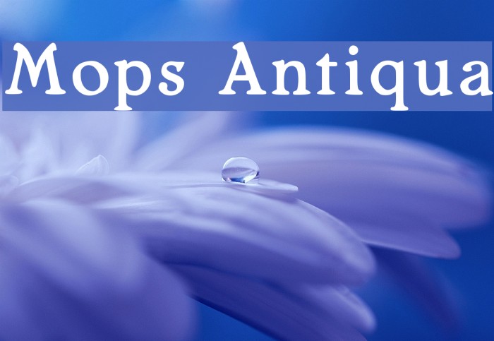 Mops Antiqua Example 1