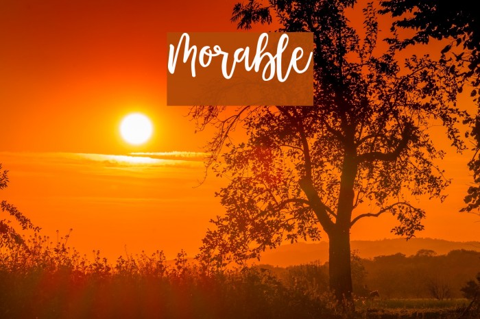 Morable Font examples
