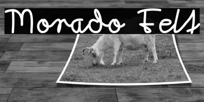 Morado Felt Font examples