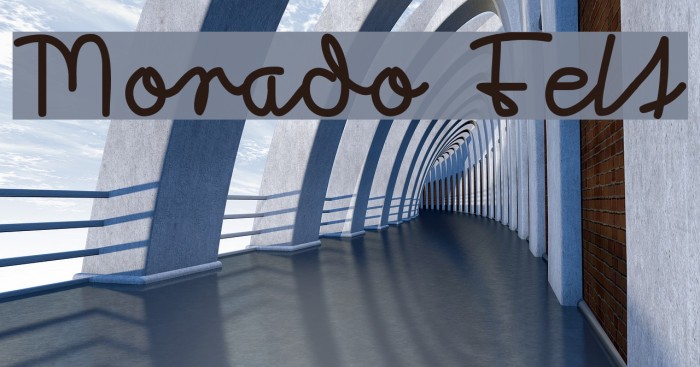 Morado Felt Example 1