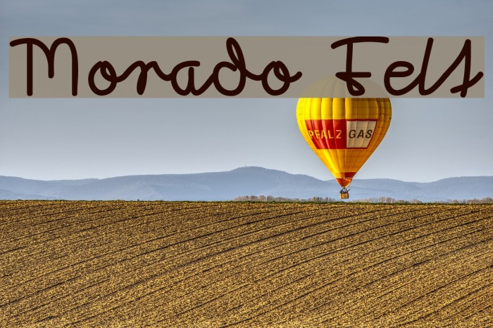 Morado Felt Example 3