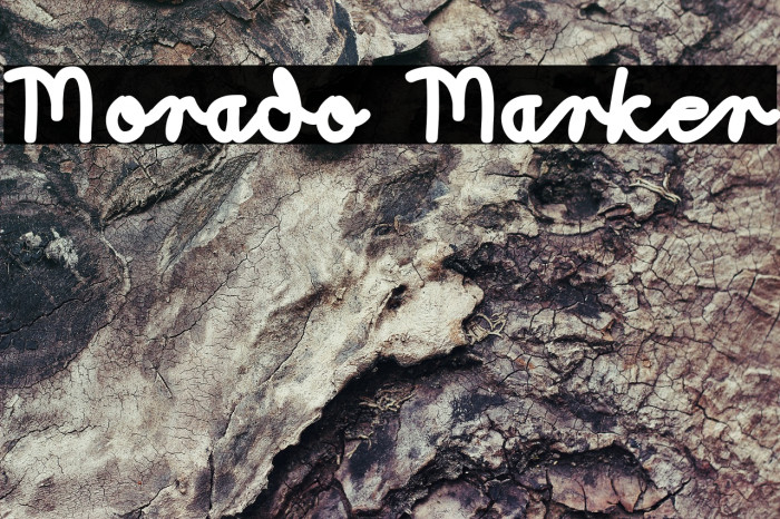 Morado Marker Font examples