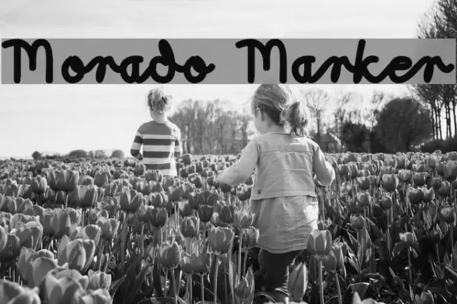 Morado Marker Font examples
