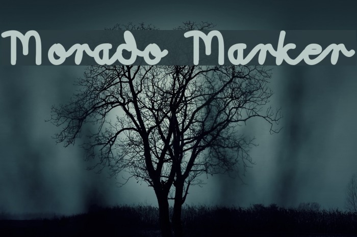 Morado Marker لخطوط تنزيل examples
